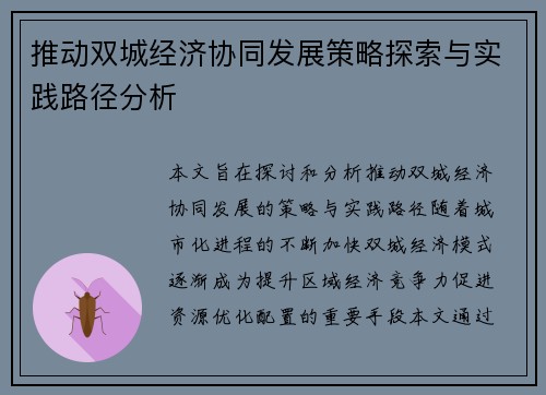 推动双城经济协同发展策略探索与实践路径分析 推动双城经济协同发展策略探索与实践路径分析